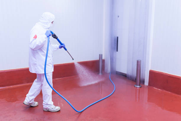 Best Paint Preparation  in Lambertville, MI