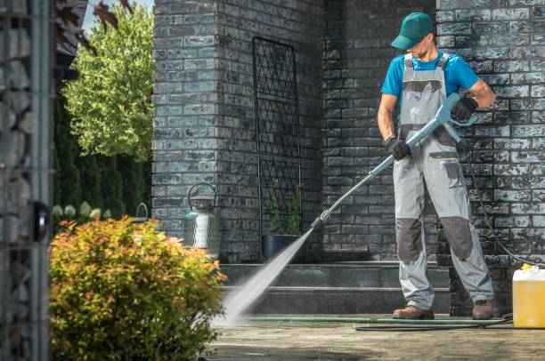 Best House Exterior Washing  in Lambertville, MI