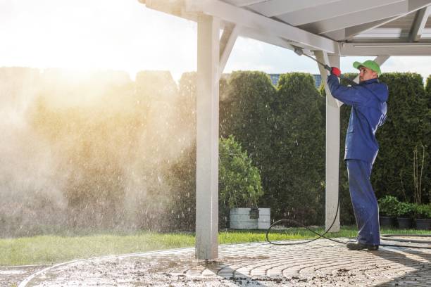 Best Pre-Holiday Cleaning  in Lambertville, MI