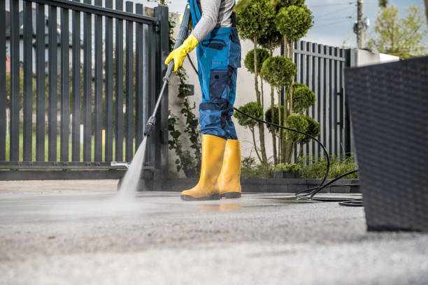 Best Restaurant Pressure Washing  in Lambertville, MI