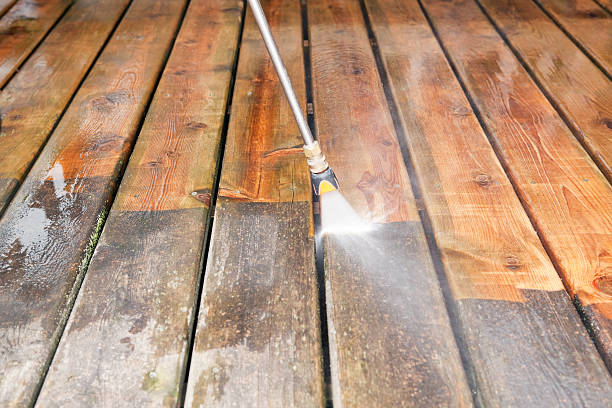 Best Rust Removal  in Lambertville, MI